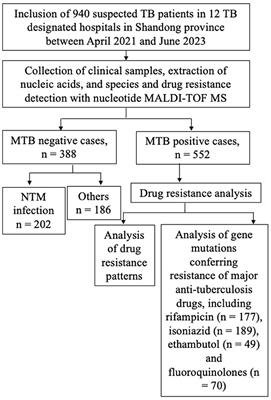 The positivity rates and drug resistance patterns of Mycobacterium tuberculosis using nucleotide MALDI-TOF MS assay among suspected tuberculosis patients in Shandong, China: a multi-center prospective study